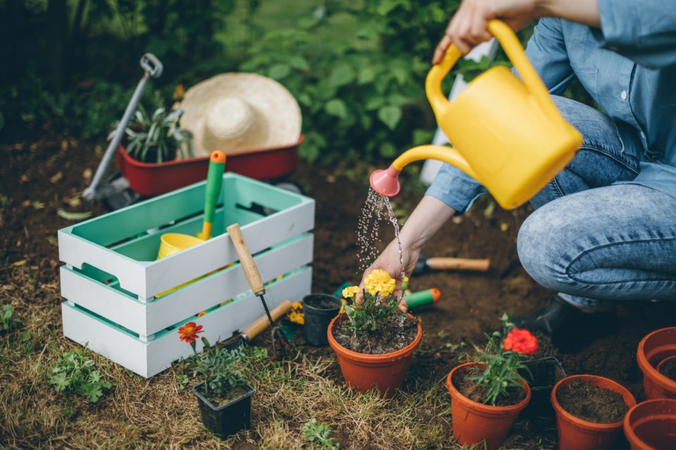 Home and Garden Show