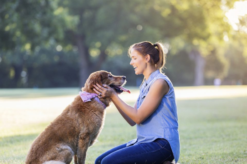 Dog Park