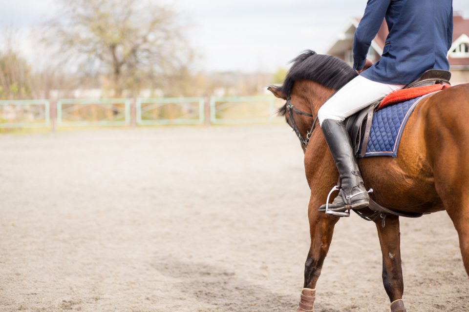 Horseback Riding Near Clarksville