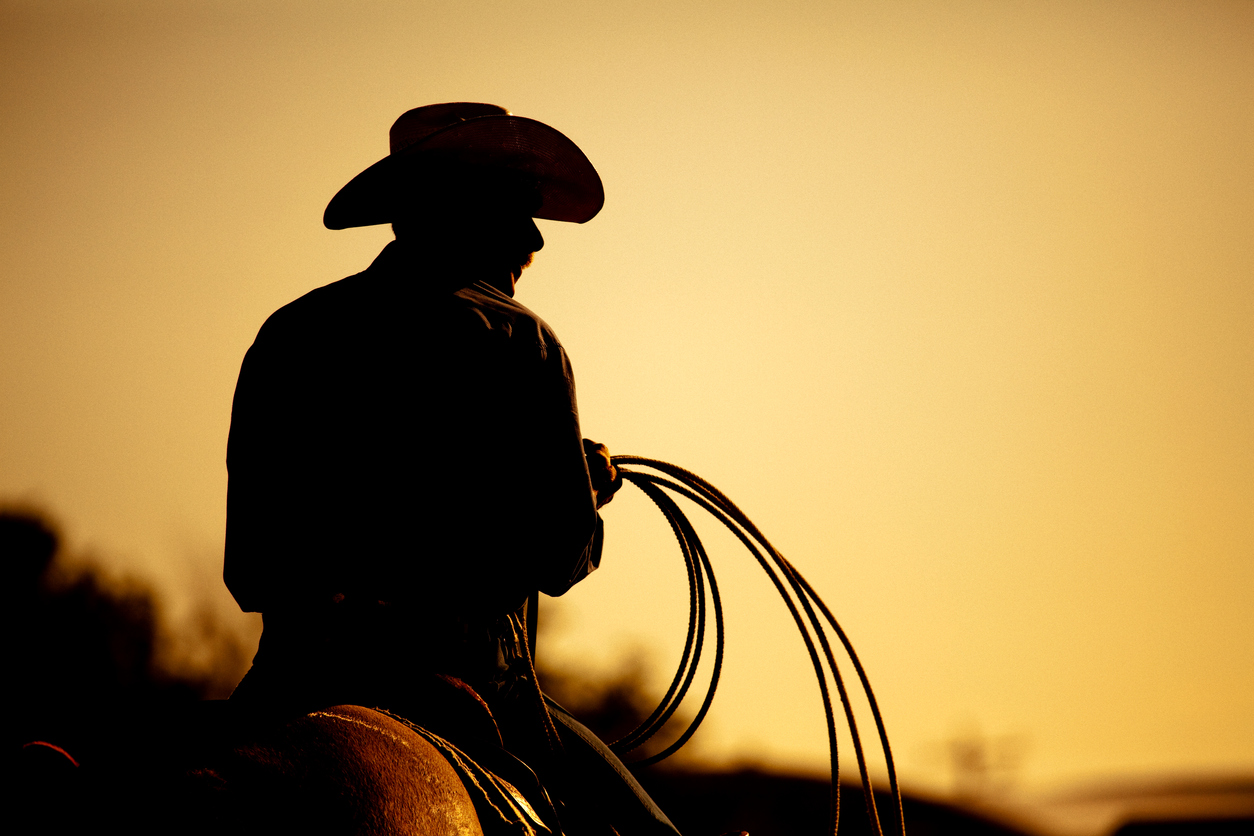 Kiwanis Rodeo