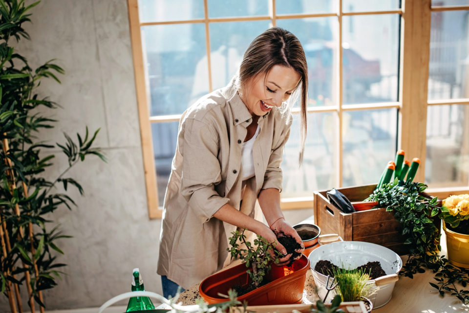 Woman planting flowers.