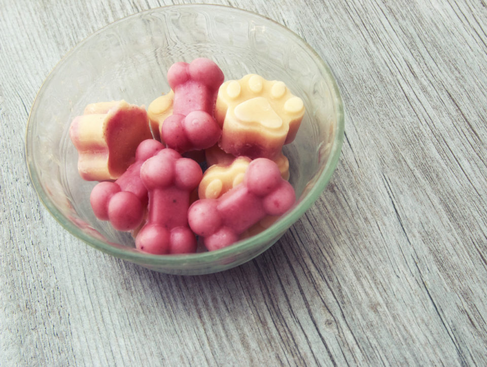 Cold frozen yogurt dog treats in a bowl