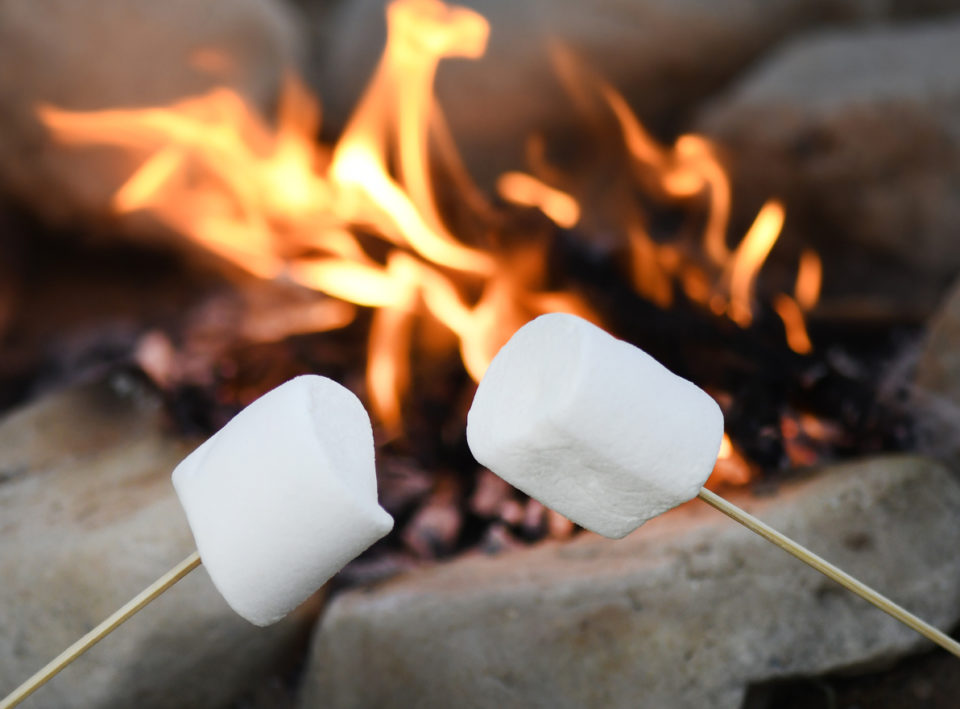 roasting marshmallows over a campfire