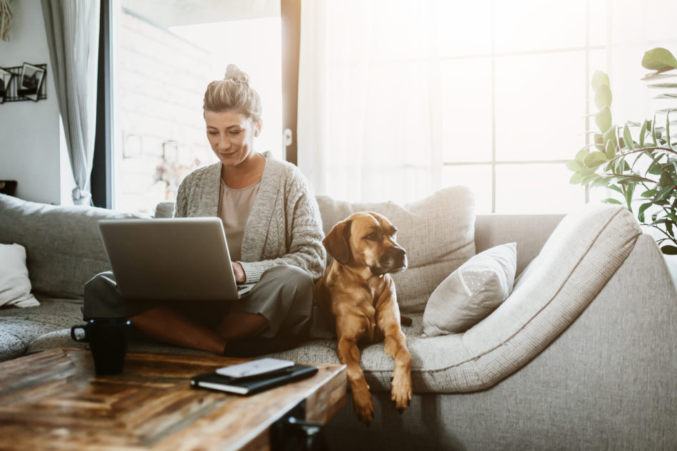 Woman surfing the internet while sitting on the couch