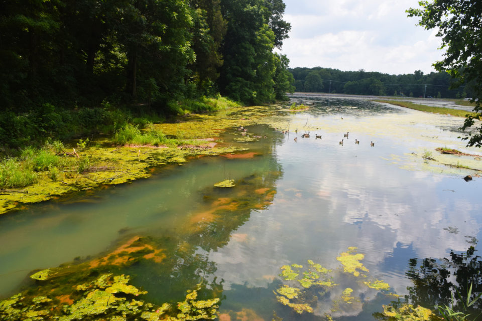 Dunbar Cave State Park Pond -Clarksville Tennessee