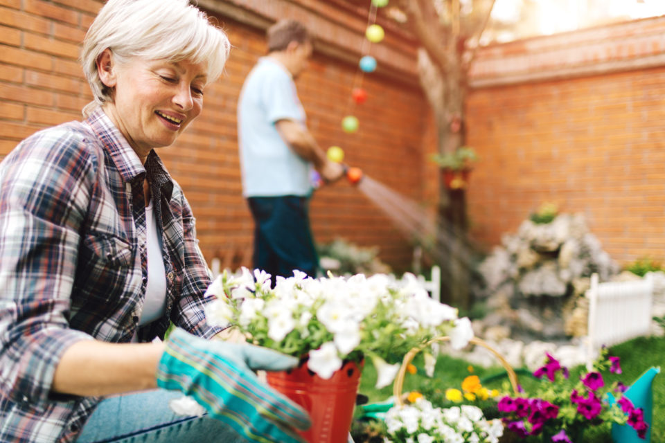 Mature Couple Planting In Their Backyard.